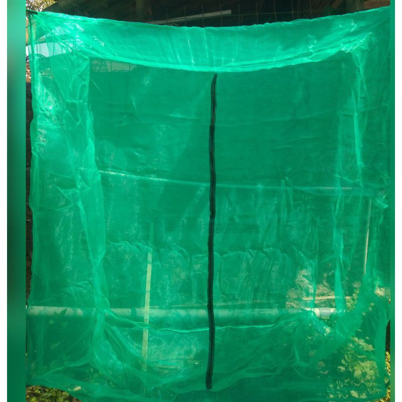 kandang magot bsf 3 x 2 x 2 (meter)