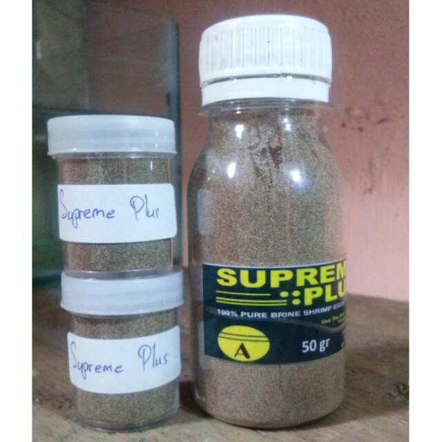 Artemia Tetas Supreme Plus bonus garam ikan
