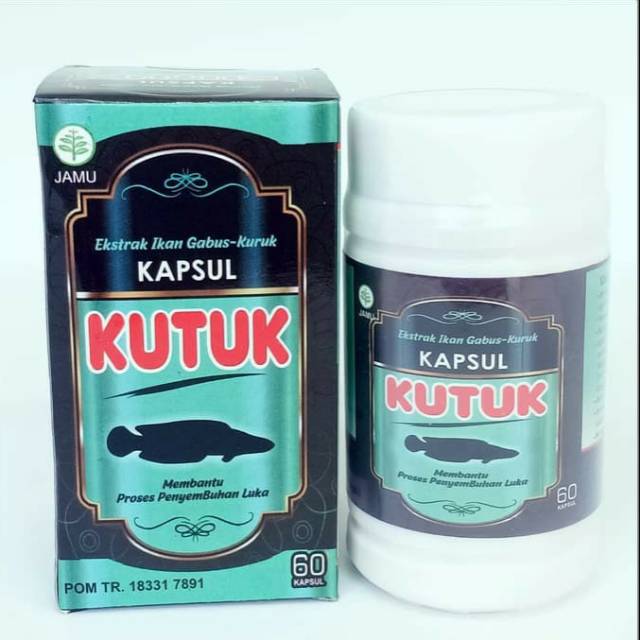 Kapsul Kutuk Ikan Gabus Obat Luka Operasi Tbc Diabetes Patah Tulang Dll Indonesia