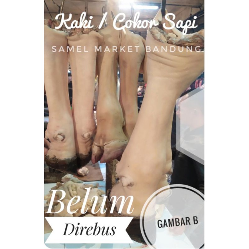 

Kaki Sapi / Cokor Sapi