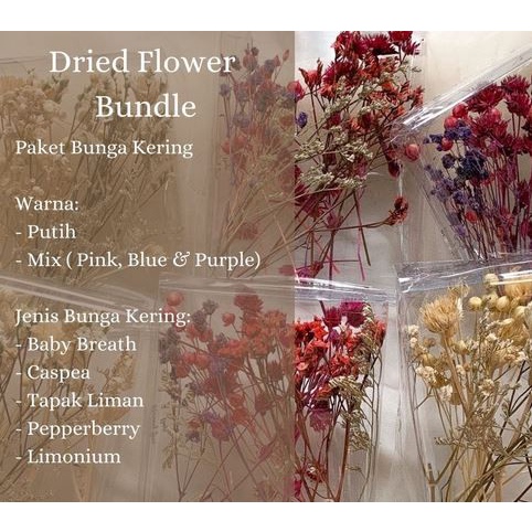 Five Dried Flowers Bundle - Paket Lima Bunga Kering