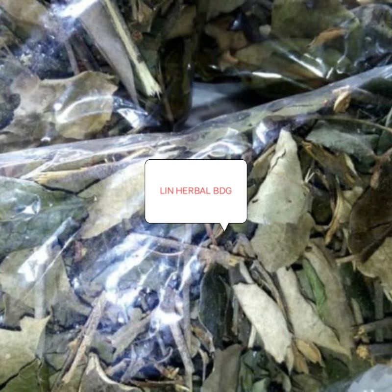 

Benalu Kering Pohon Kopi - Teh Benalu Instan Hemat 250 Grm