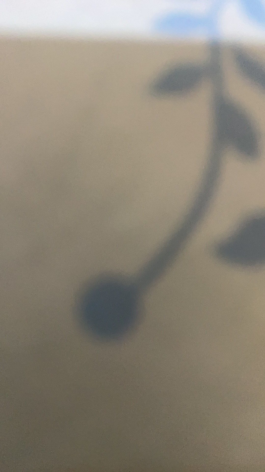 Arang Briket Flame Coal - Arang Bakar - Bukhur