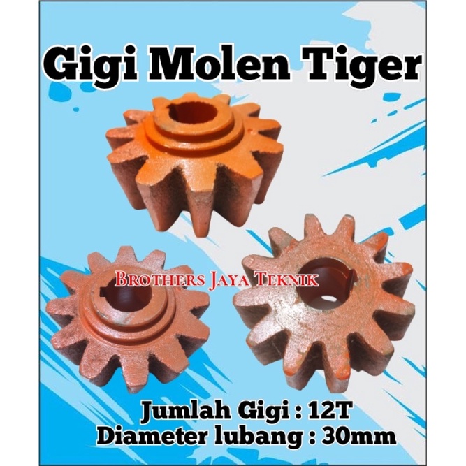 GIGI NENAS BESAR MOLEN TIGER PENGADUK SEMEN 12T
