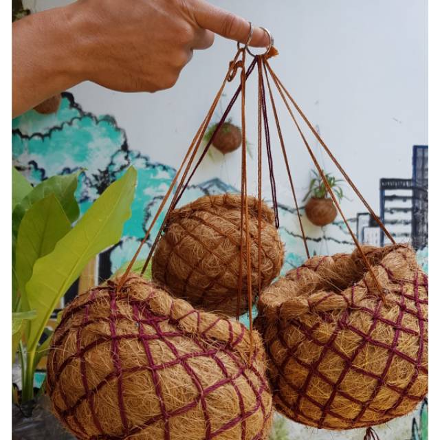 Kokedama pot  sabut  kelapa  Shopee Indonesia