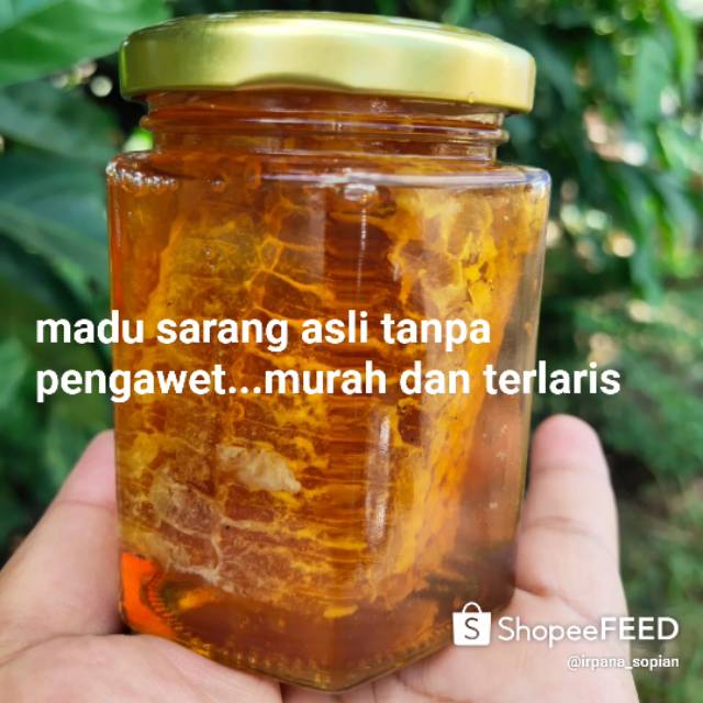 

Madu sarang 50 grm