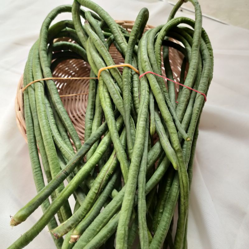 

kacang panjang 250gram