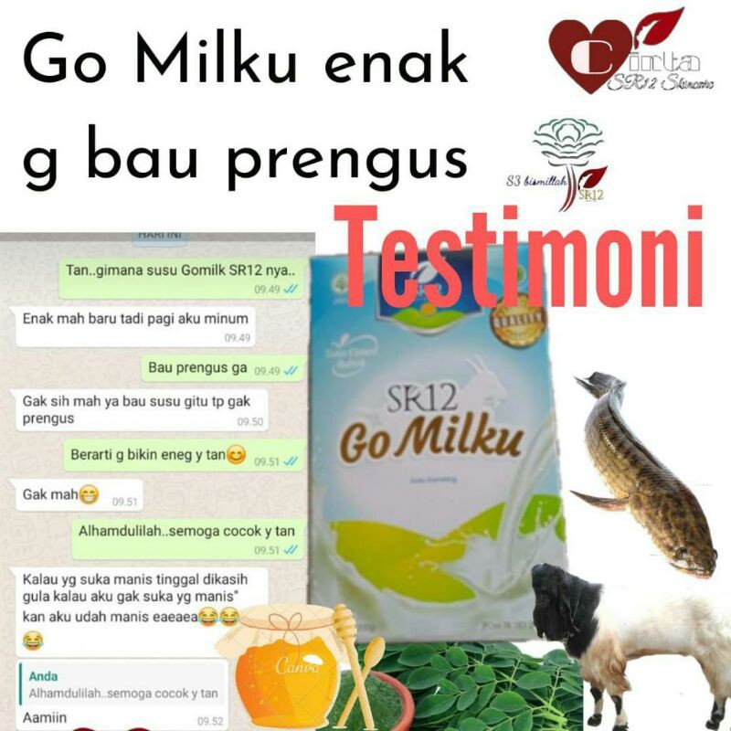 

GO MILKU SUSU KAMBING ETAWA
