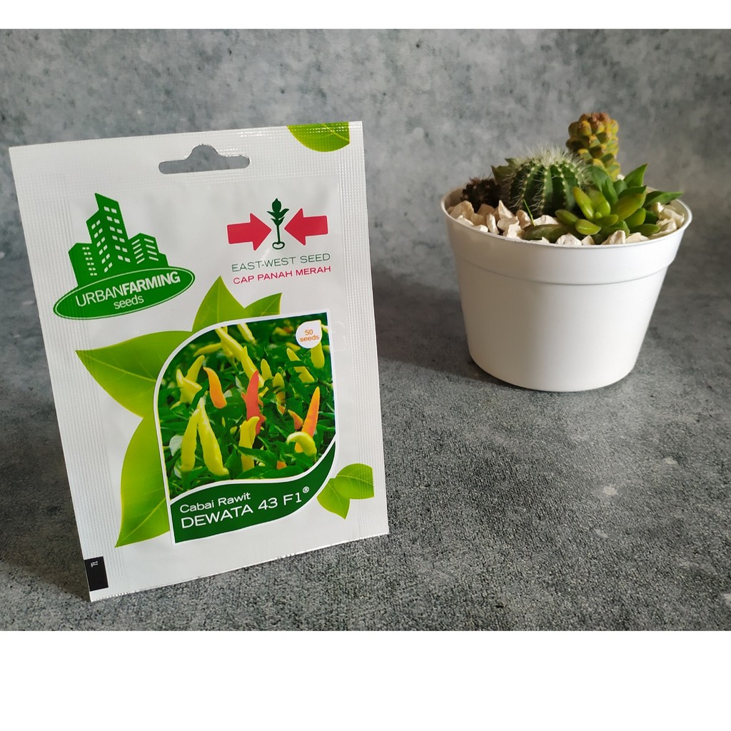 Benih Cabai Rawit Dewata F1 Kemasan Urban Farming