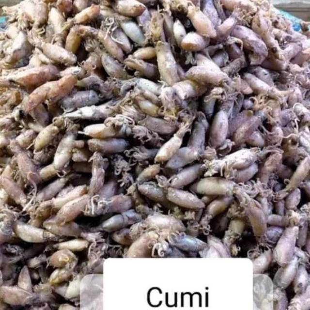 

Cumi Asin