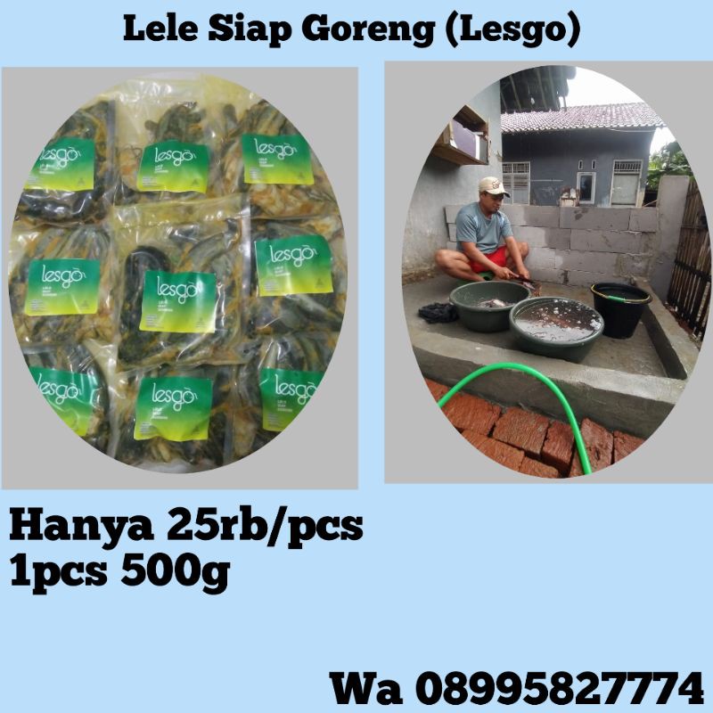 

lele frozen bumbu kuning