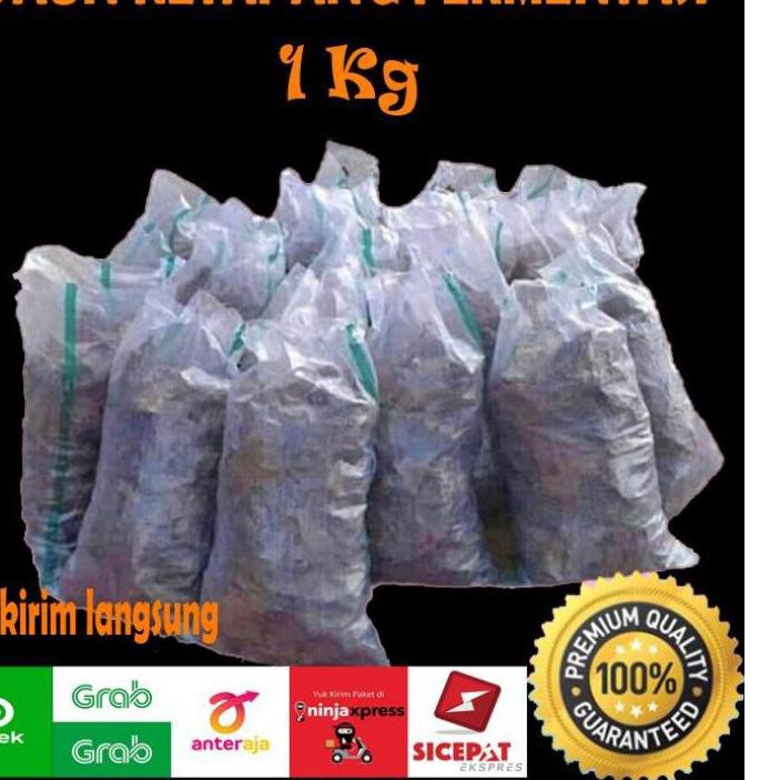 

Diskon Bulan Ini Daun Ketapang Kualitas Exspor 1Kg Tanpa Minyak