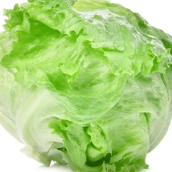 

lettuce
