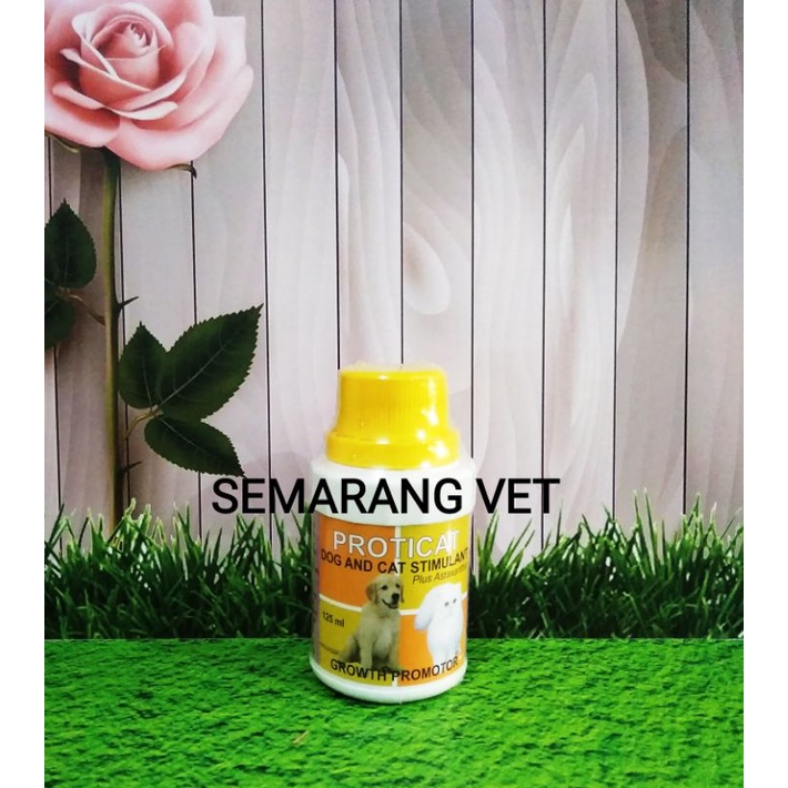 Vitamin Kucing Gemuk dan Bulu Lebat Vitamin Kucing Bulu Rontok Suplemen Kucing Penggemuk Suplemen Ku