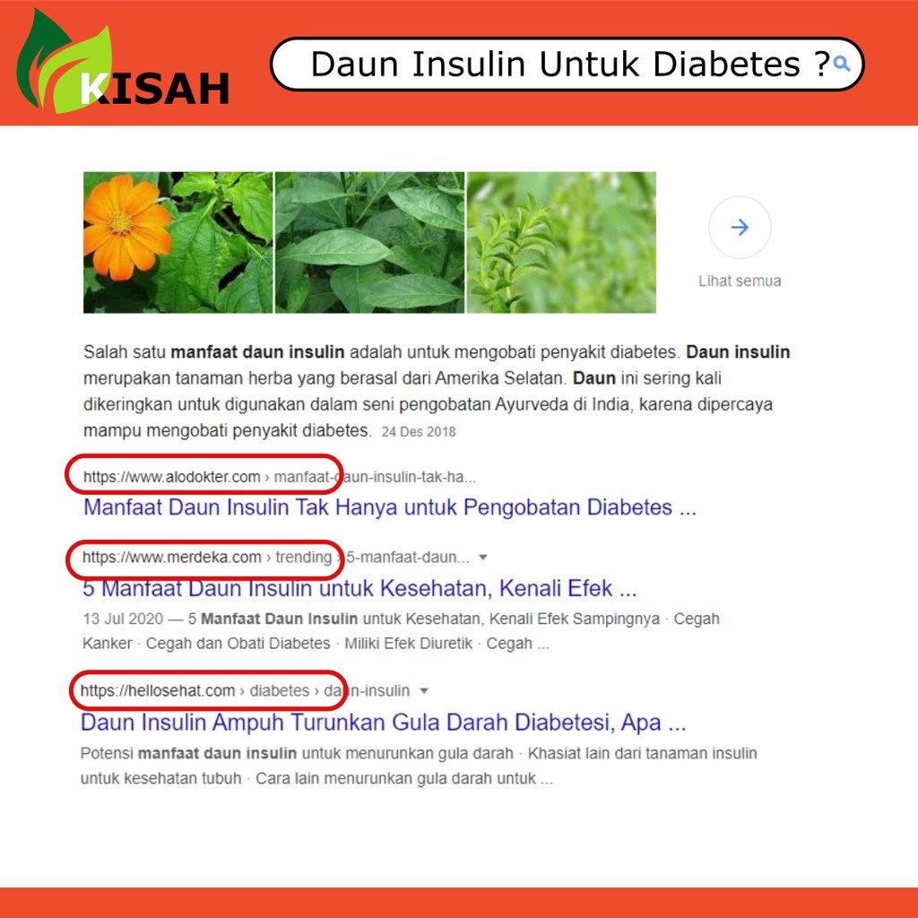 Teh Celup Daun Yakon Insulin 20 Kantong - Obat Kencing Manis Diabetes Penurun Gula Darah Alami