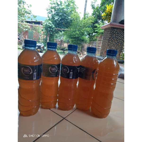 

madu hutan asli tampa campuran