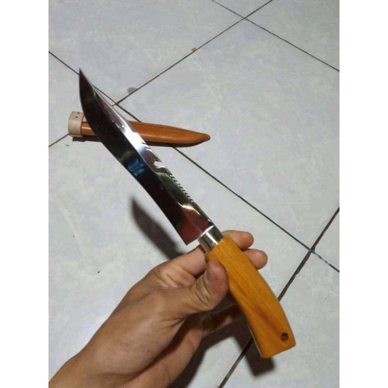 

bajaputih