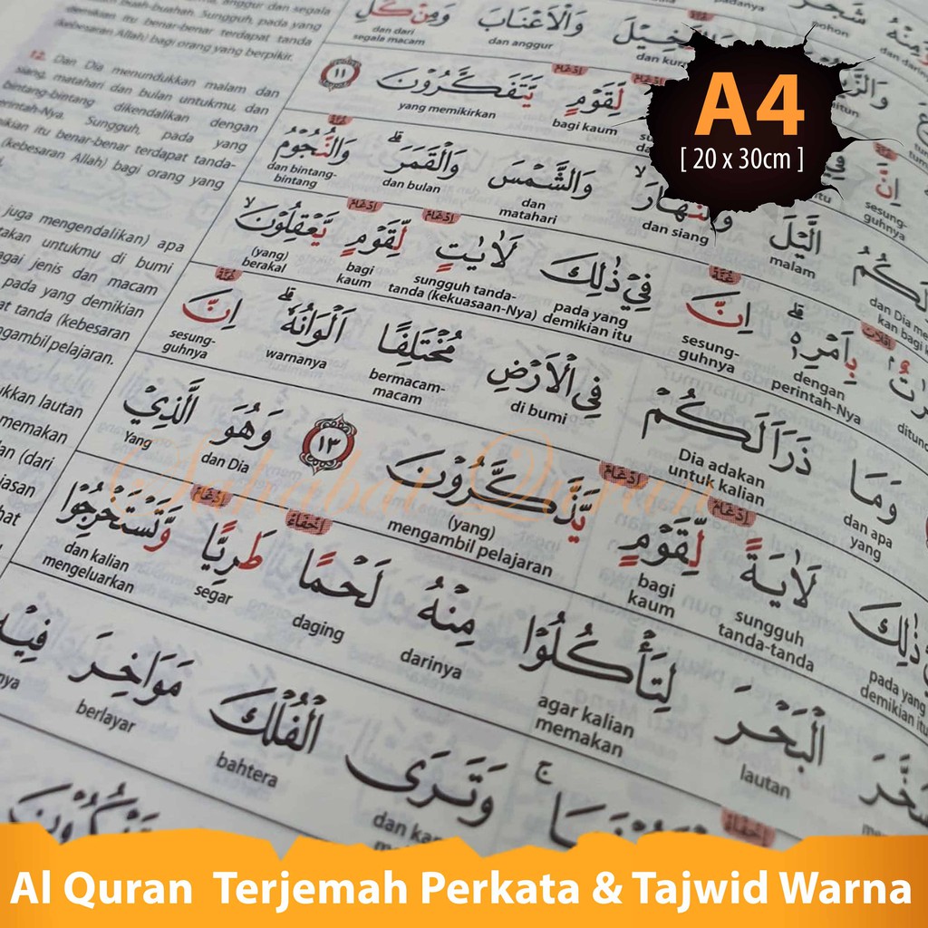 Al Quran Tafsir Perkata Al Fatih A4 Al Quran Terjemah dan Tajwid  Al Quran Ukuran Besar Bisa COD