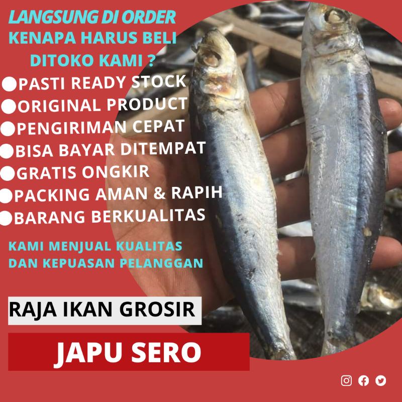 

IKAN ASIN JAPU SERO 250 GRAM BAGUS