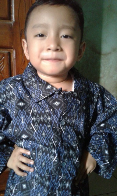 Gof Brsa Damor (cressida) Kemeja Batik Cowok Pakaian Pria Batik Lengan Pendek