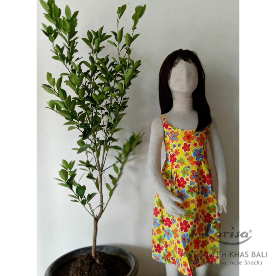 Dress Smoke Anak- Suci