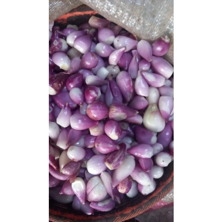 

Bawang Merah Kupas
