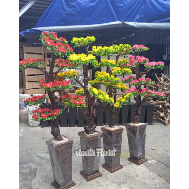 Semanggi bunga hiasan sudut ruangan