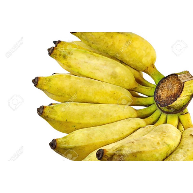 

pisang gedah