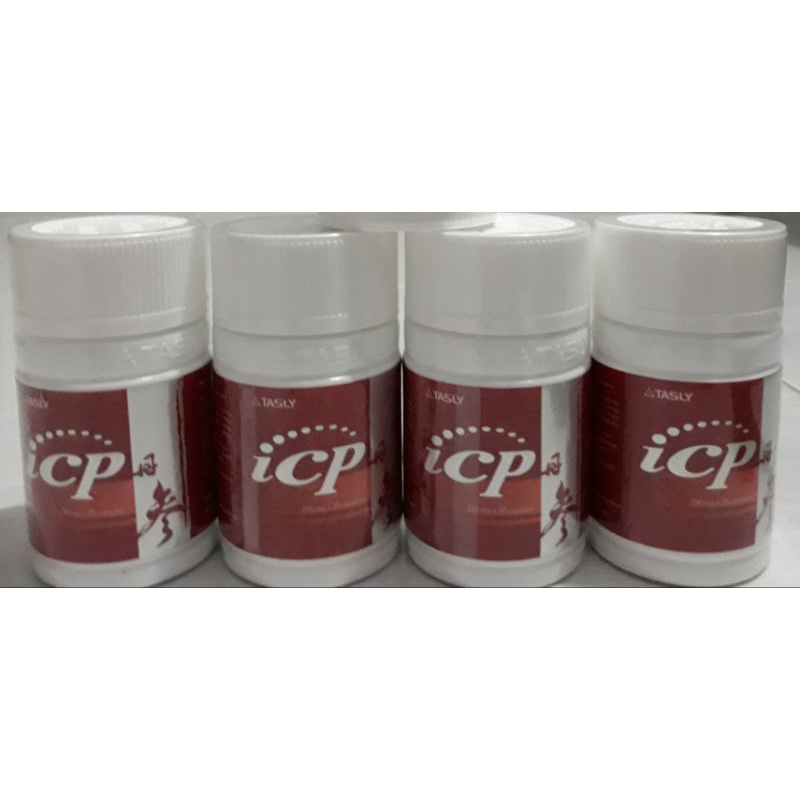 ICP Capsule Tasly Original