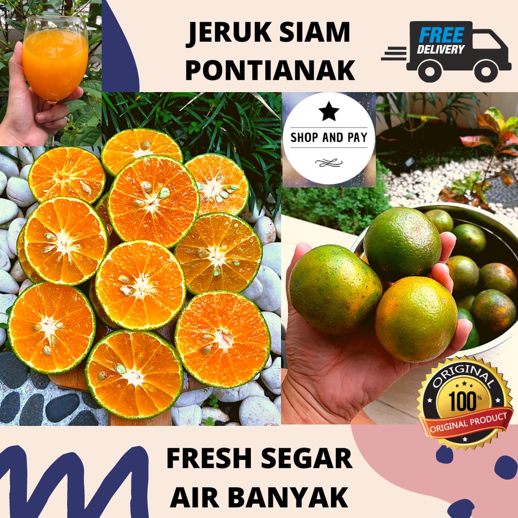 

Jeruk Siam Asli Pontianak FRESH SEGAR 1000gr 1kg | 100% FRESH