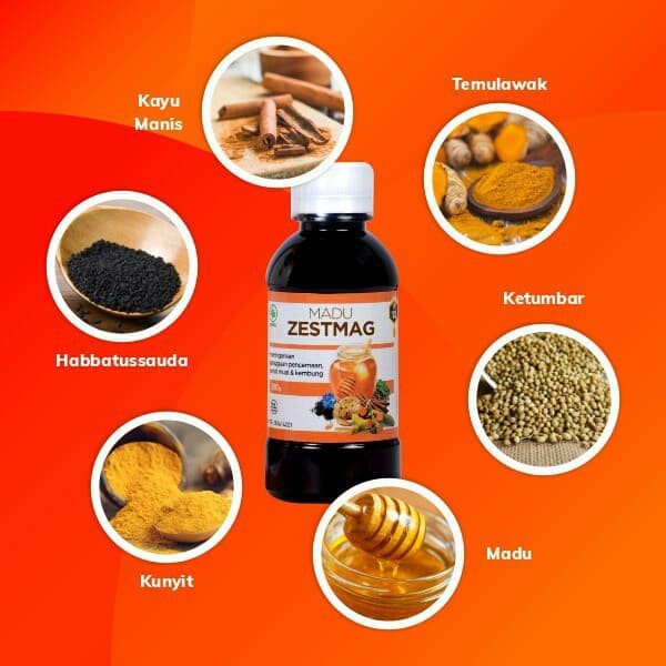 

Zestmag Madu Khusus Lambung & Obat Herbal Nyeri Perut Asli Zesmag Murni