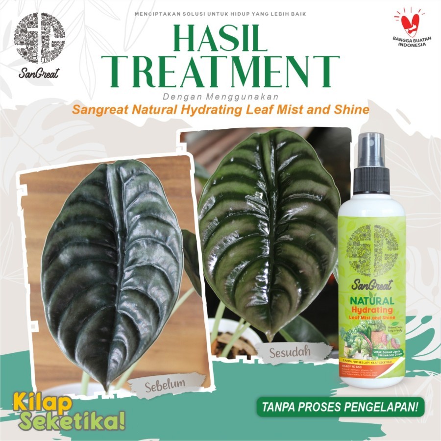 Pengkilap Daun Tanpa Pengelapan SanGreat Hydrating Leaf Mist &amp; Shine