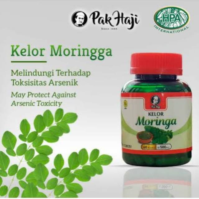 

Kelor Moringa Moringga HPA Pak Haji