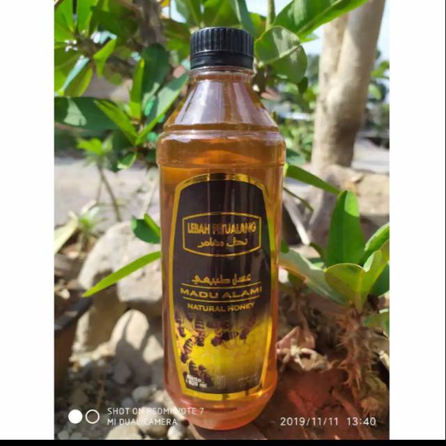 

MADU ALAMI LEBAH PETUALANG 800gr