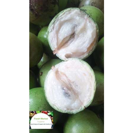 Buah Kenitu/Sawo Hijau/Sawo Susu 1 KG