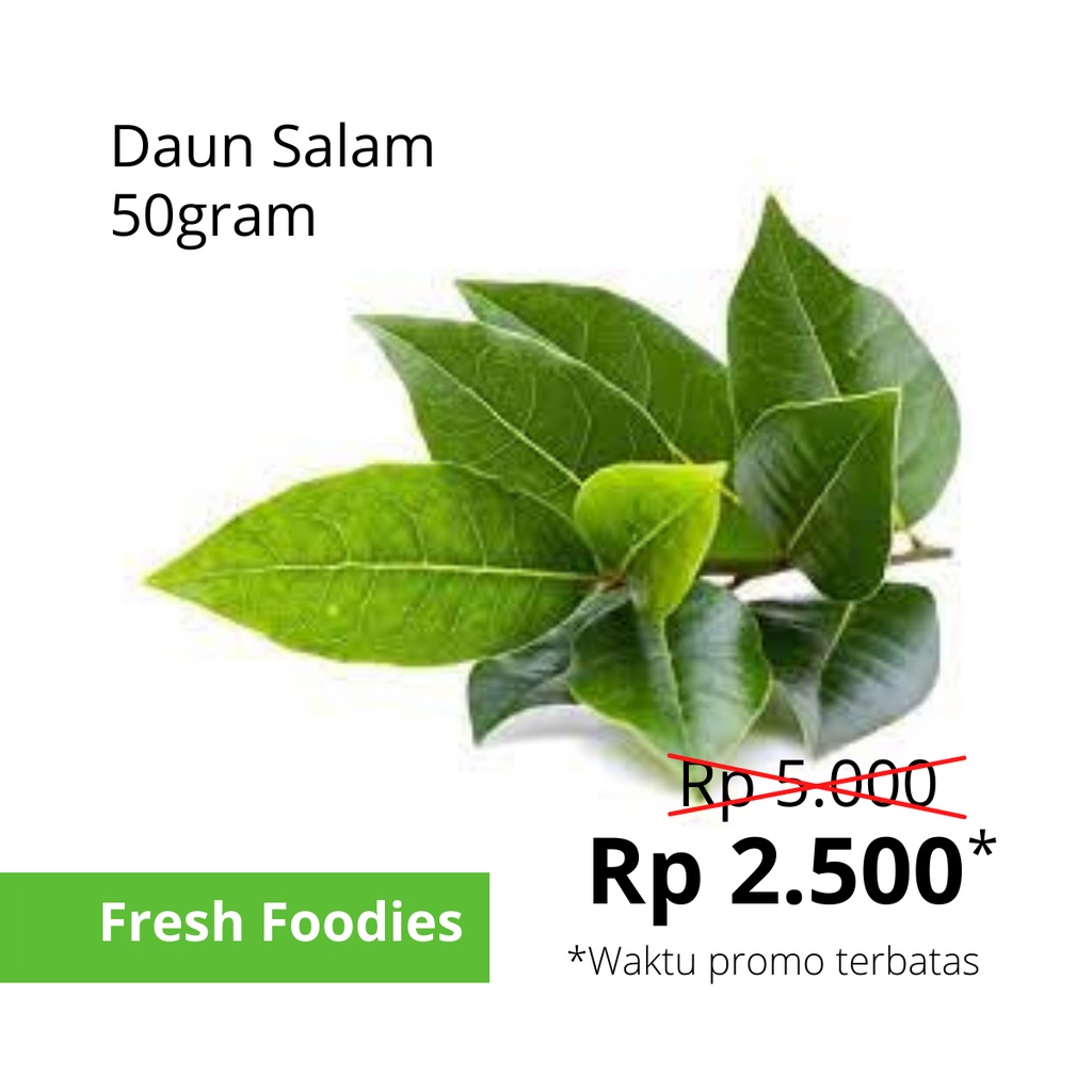 

KIRIM INSTAN Daun Salam Hijau Segar 50gr