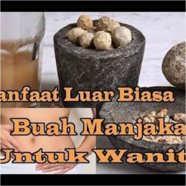 Buah Manjakani Alami/Biji Majakani/Dherb Pure Tepung 500 GR