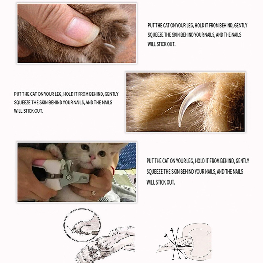 Gunting Kuku Kucing/Anjing Besar Dengan Nail File