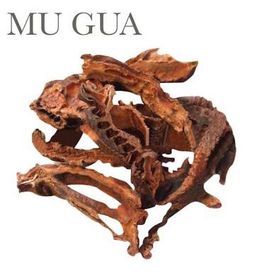 

10 G 50 GR 100 GRAM 木瓜 MU GUA CHINESE FLOWERING QUINCE FRUIT SLICE SLICED