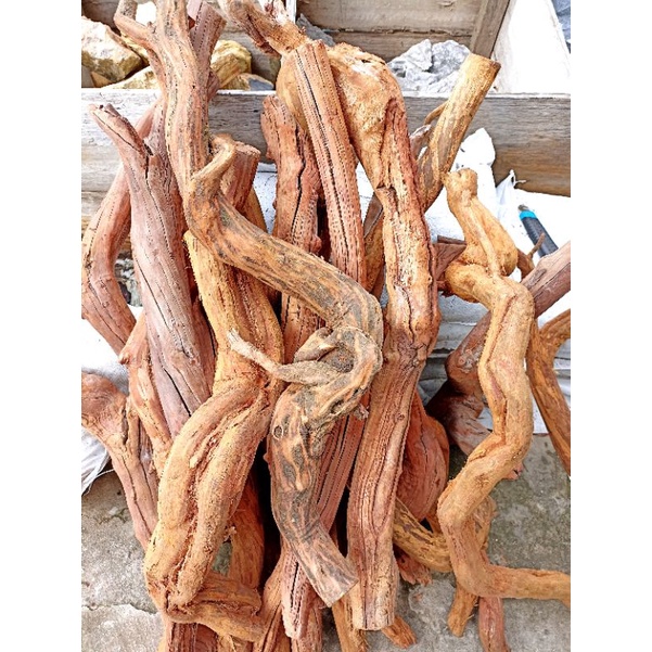 kayu aquarium santigi hutan