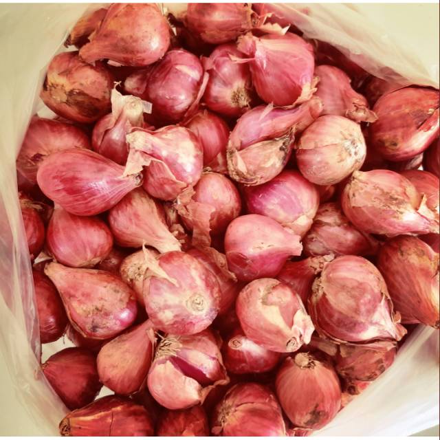 

Bawang merah brebes