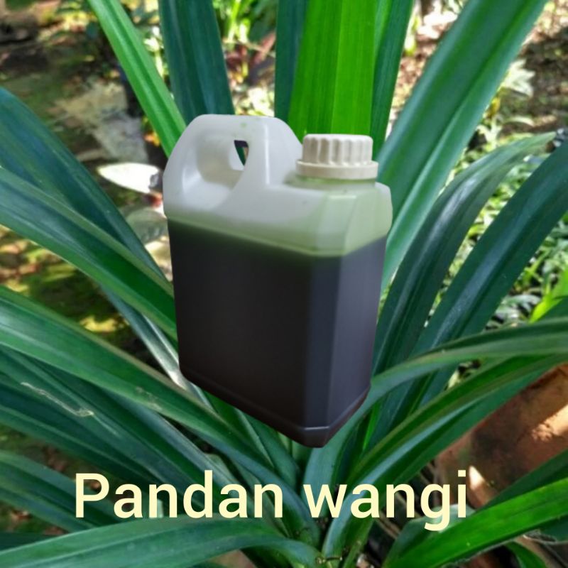essen pandan