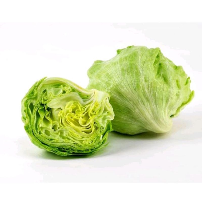 

Iettuce Head, Letus, berat 500grm