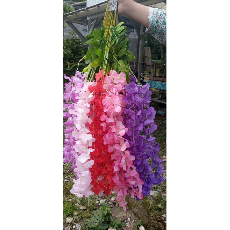 bunga wisteria jumbo