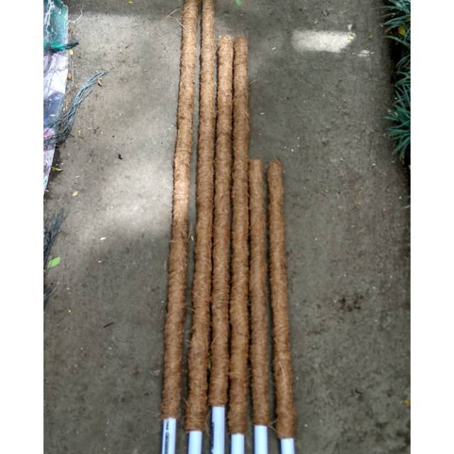 TIANG RAMBATAN TANAMAN // TIANG PENYANGGA