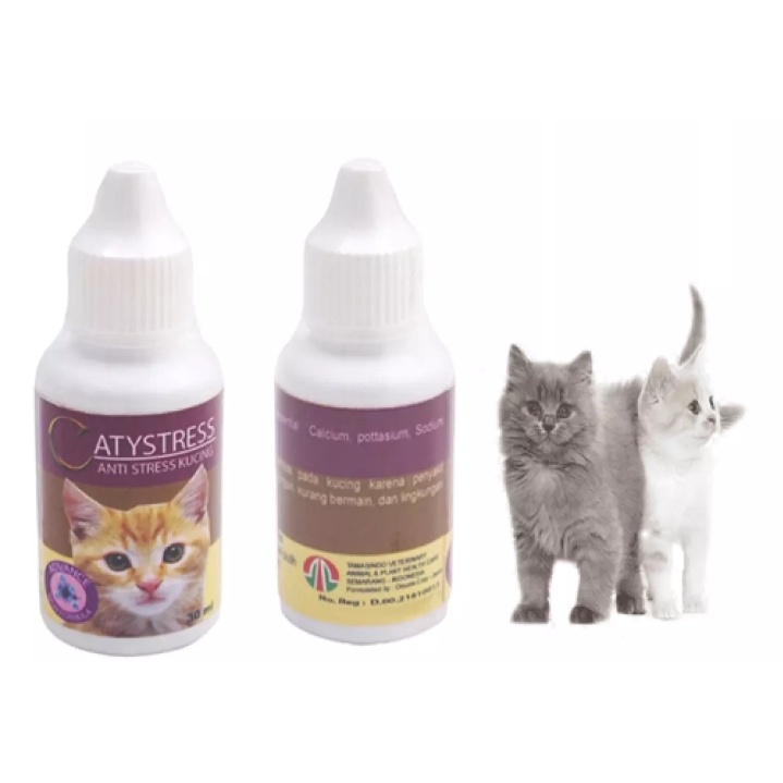 OBAT STRESS KUCING ANTI STRESS KUCING LEMAS AMPUH TERMURAH CATYSTRESS