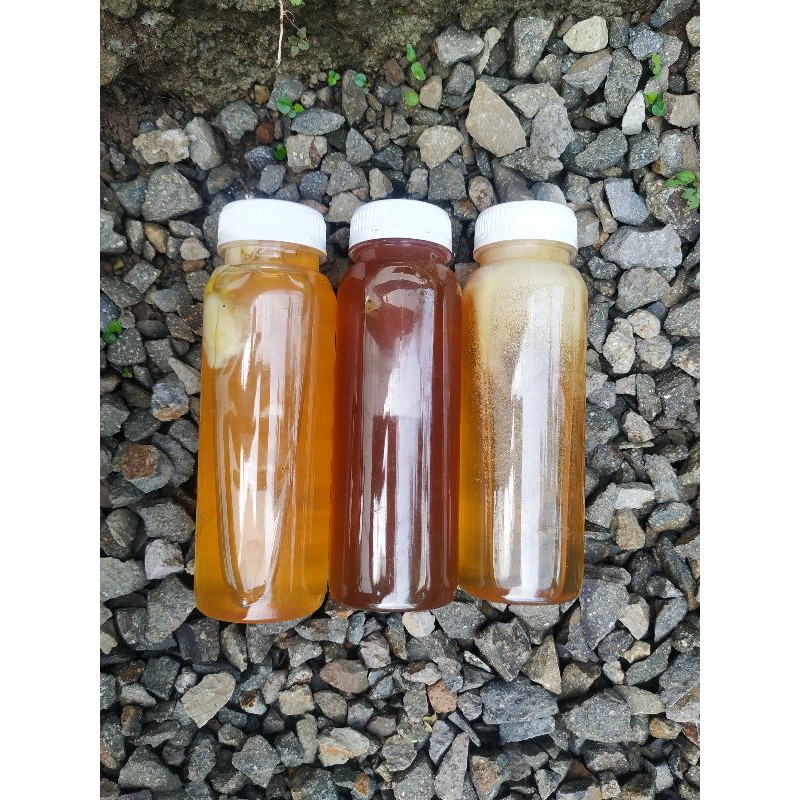 

Madu Hutan / Madu Murni