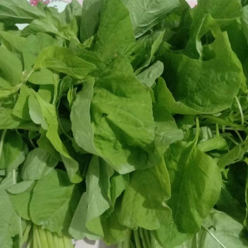 

sayur bayam 1ikat