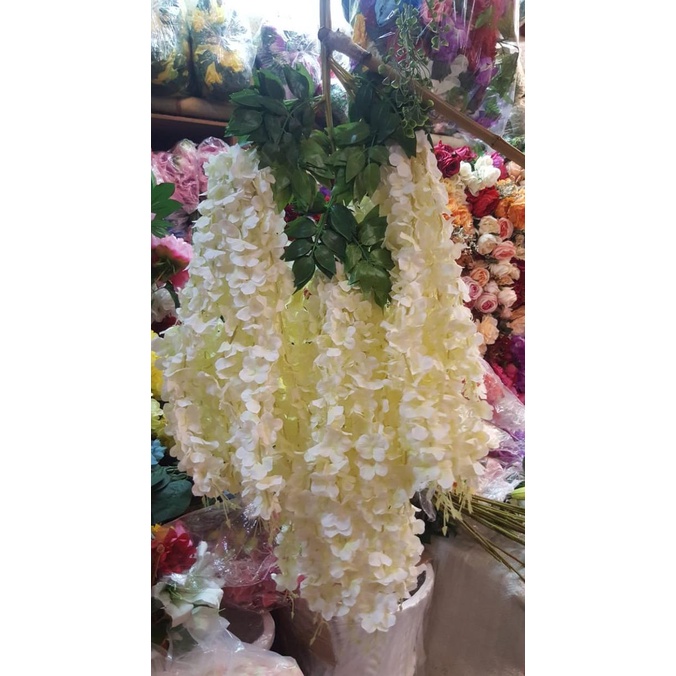 Bunga Wisteria JUMBO