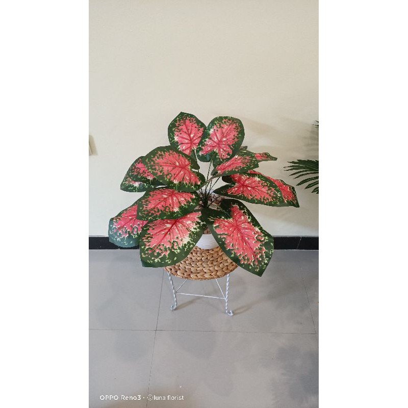 KELADI MERAH ARTIFICIAL BAHAN PLASTIK